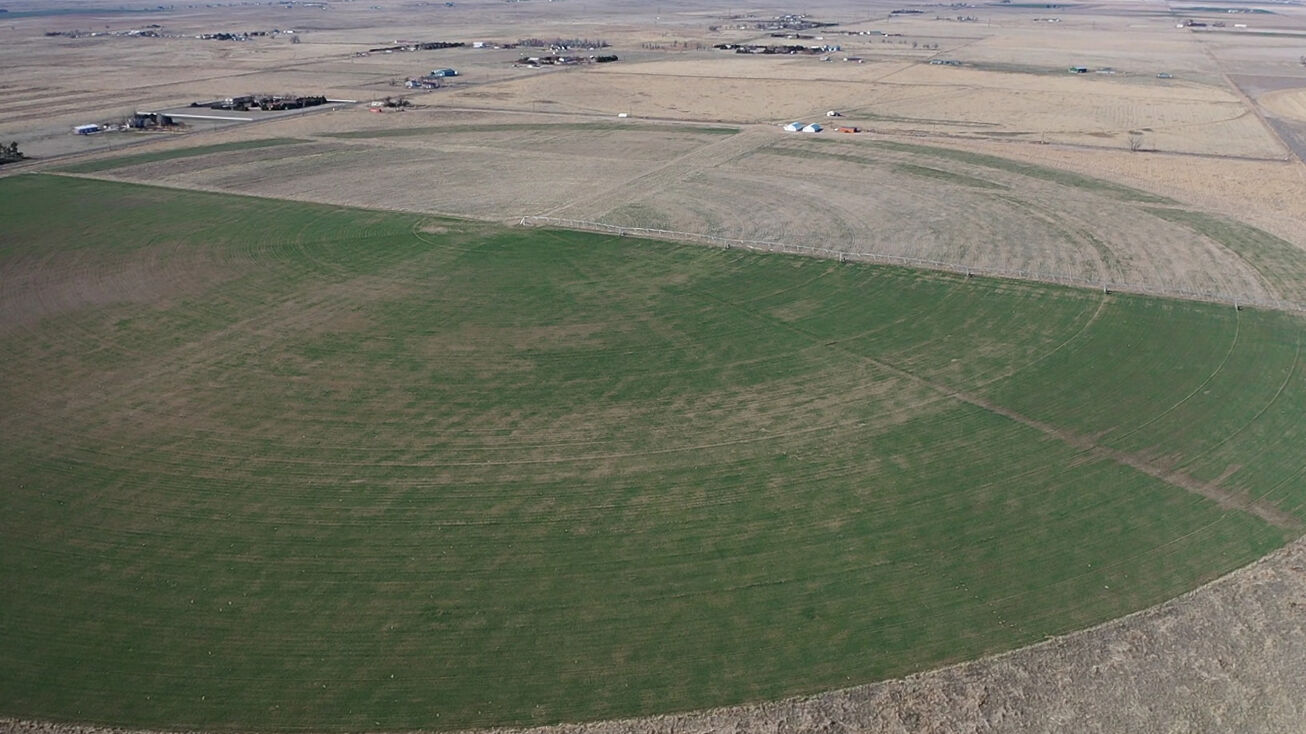 9482 Highway 52, Wiggins, CO 80654