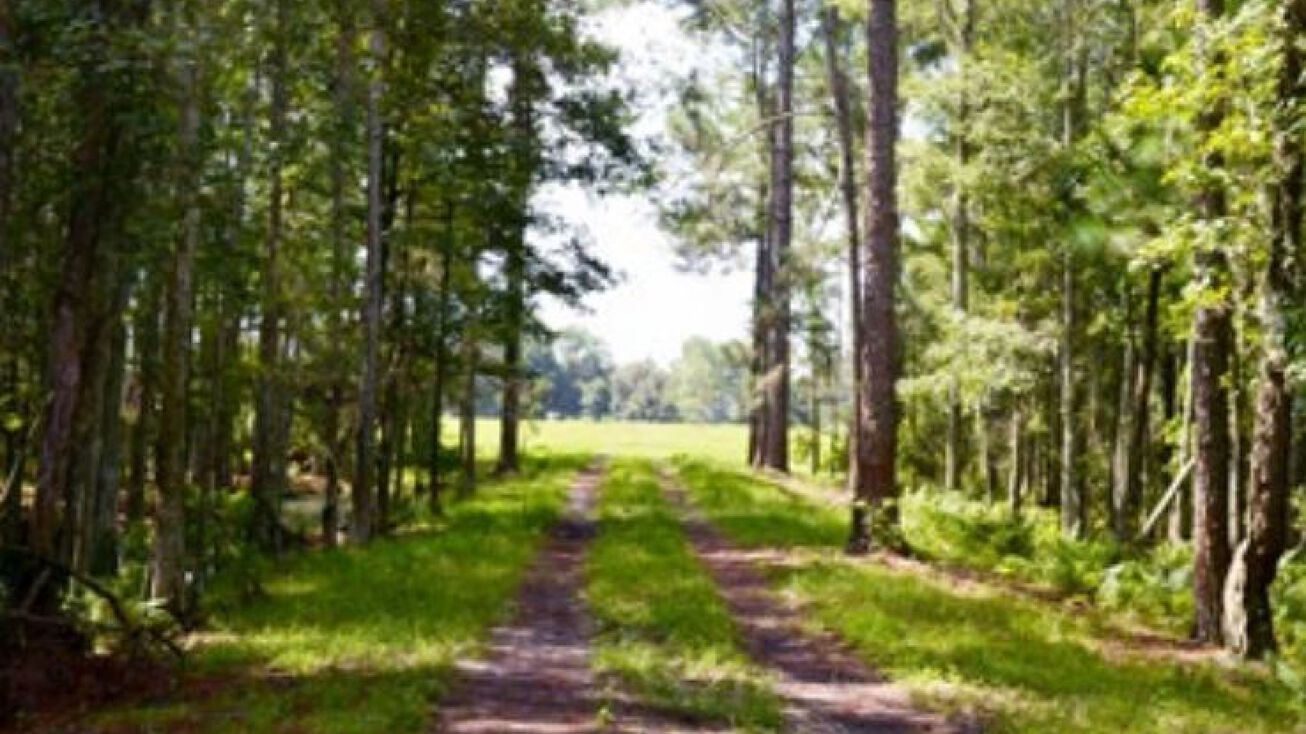 South Lake, Clermont, FL 34714 Land for Sale South Lake County