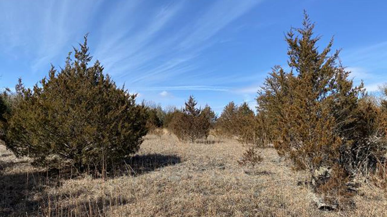 134 Acres in Iberia, Iberia, MO 65486