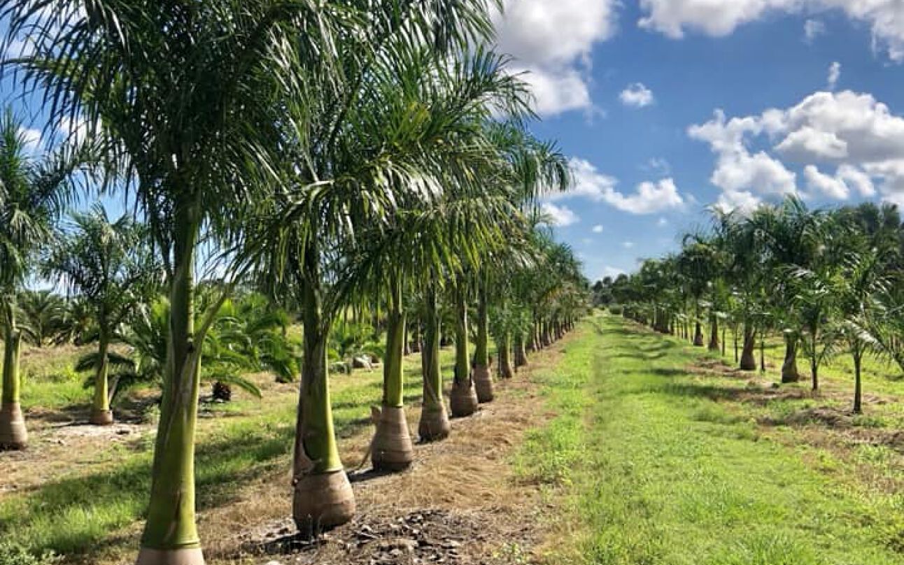 4325 17th Street SW, Vero Beach, FL 32962 Land for Sale