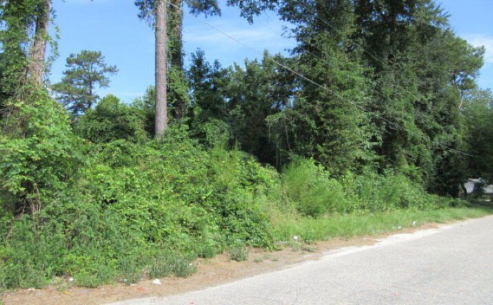 Pictures of Land property located at 956 Meadowbrook Rd, Sumter, SC 29153 for sales - image #1