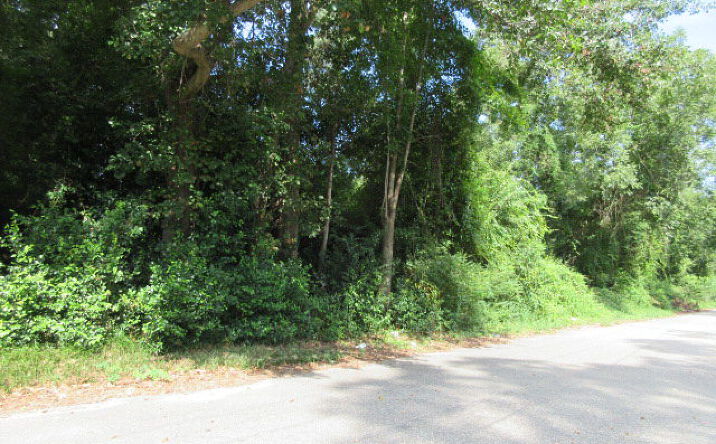 Pictures of Land property located at 974 Meadowbrook Rd, Sumter, SC 29153 for sales - image #1