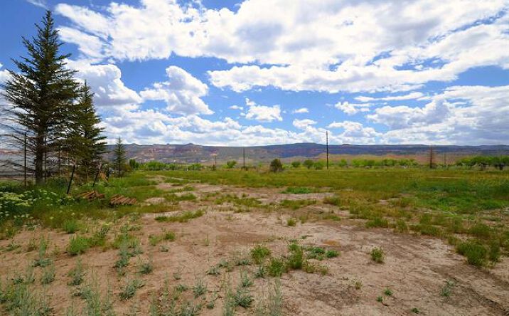 Pictures of Land property located at 853 Raptor Rd, Fruita, CO 81521 for sales - image #1