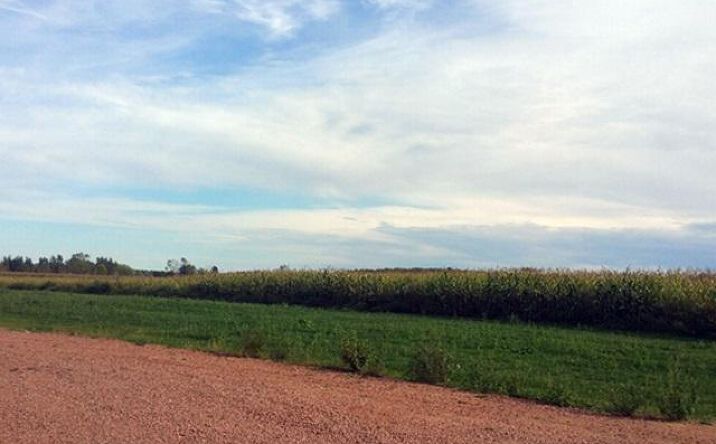 Pictures of Industrial property located at #1 S Draxler Dr, Marshfield, WI 54449 for sales - image #1