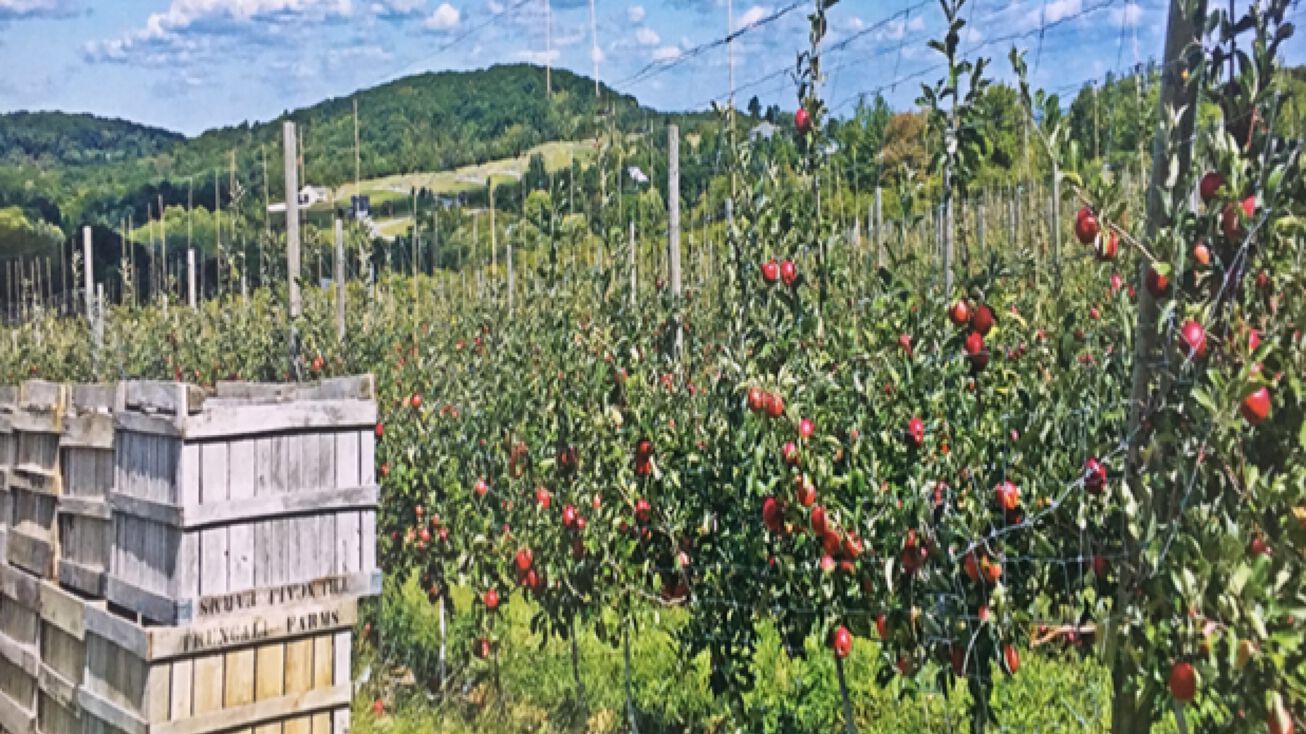 Special Purpose Property Portfolio for Sale in Marlborough, NY