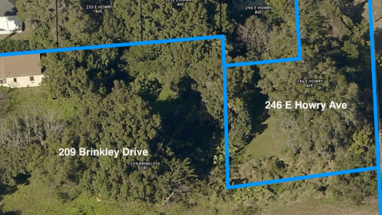 209 Brinkley Drive & 246 E Howry Ave, DeLand, FL 32720 Land for Sale