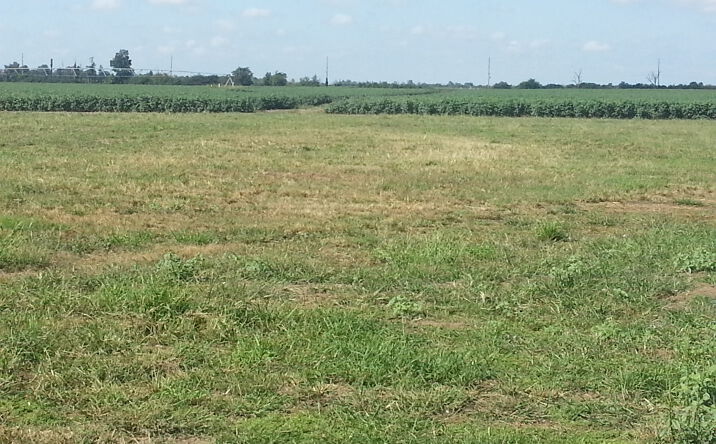 Pictures of Land, Industrial property located at 1209 Lawrence, Sikeston, MO 63801 for sales - image #1
