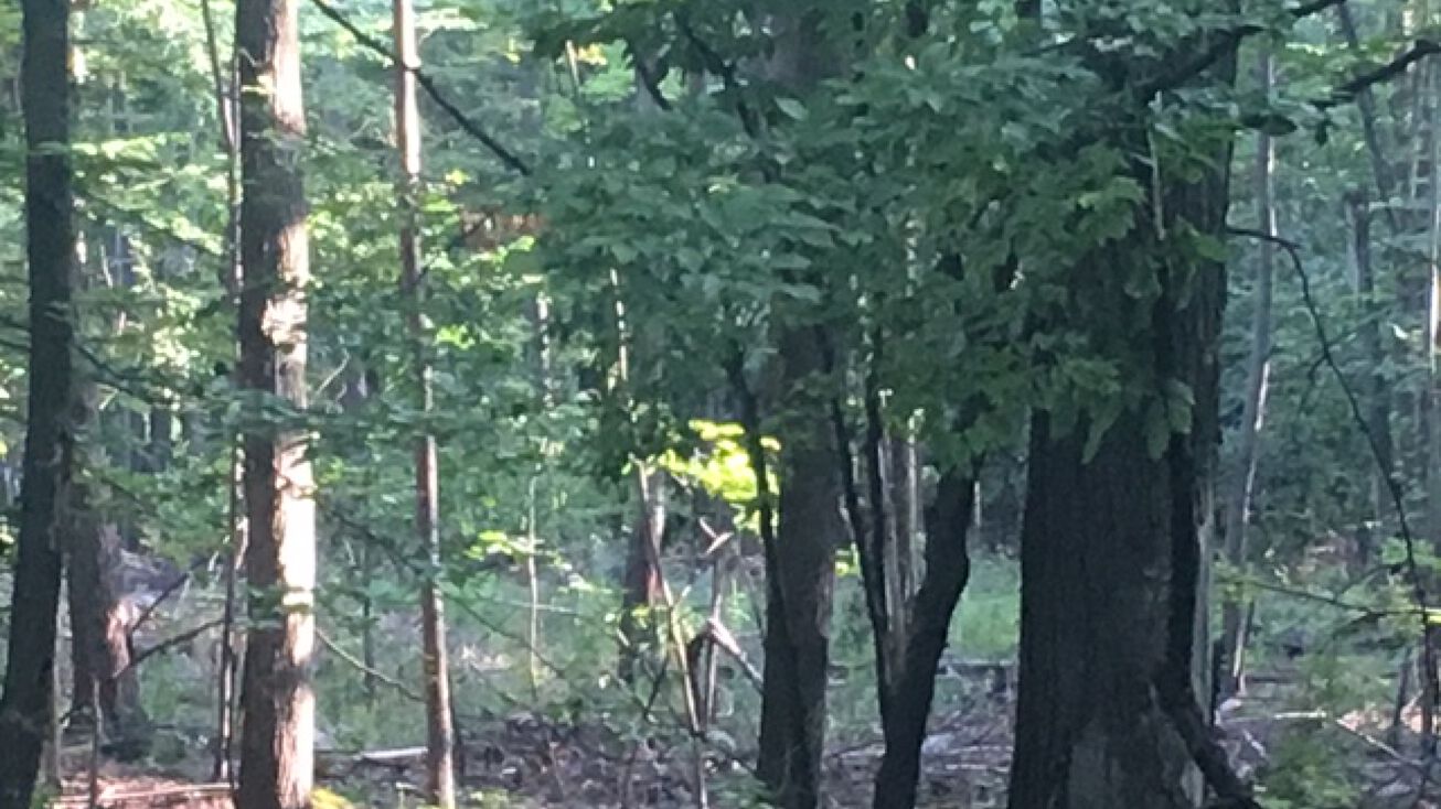 375 Crescent Ave, Plattekill, NY 12568