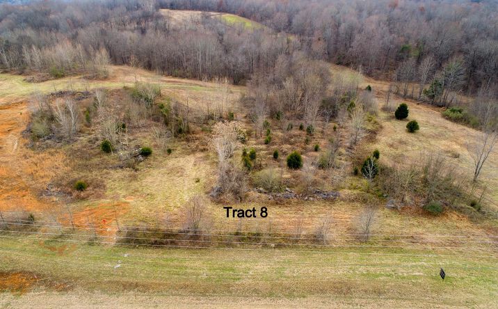 Pictures of Special Purpose, Land property located at 0 Highway 41 N Lot 8, Springfield, TN 37172 for sales - image #1