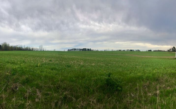 Pictures of Land property located at Branch Road and Smith Road V/L, Medina, OH 44256 for sales - image #1