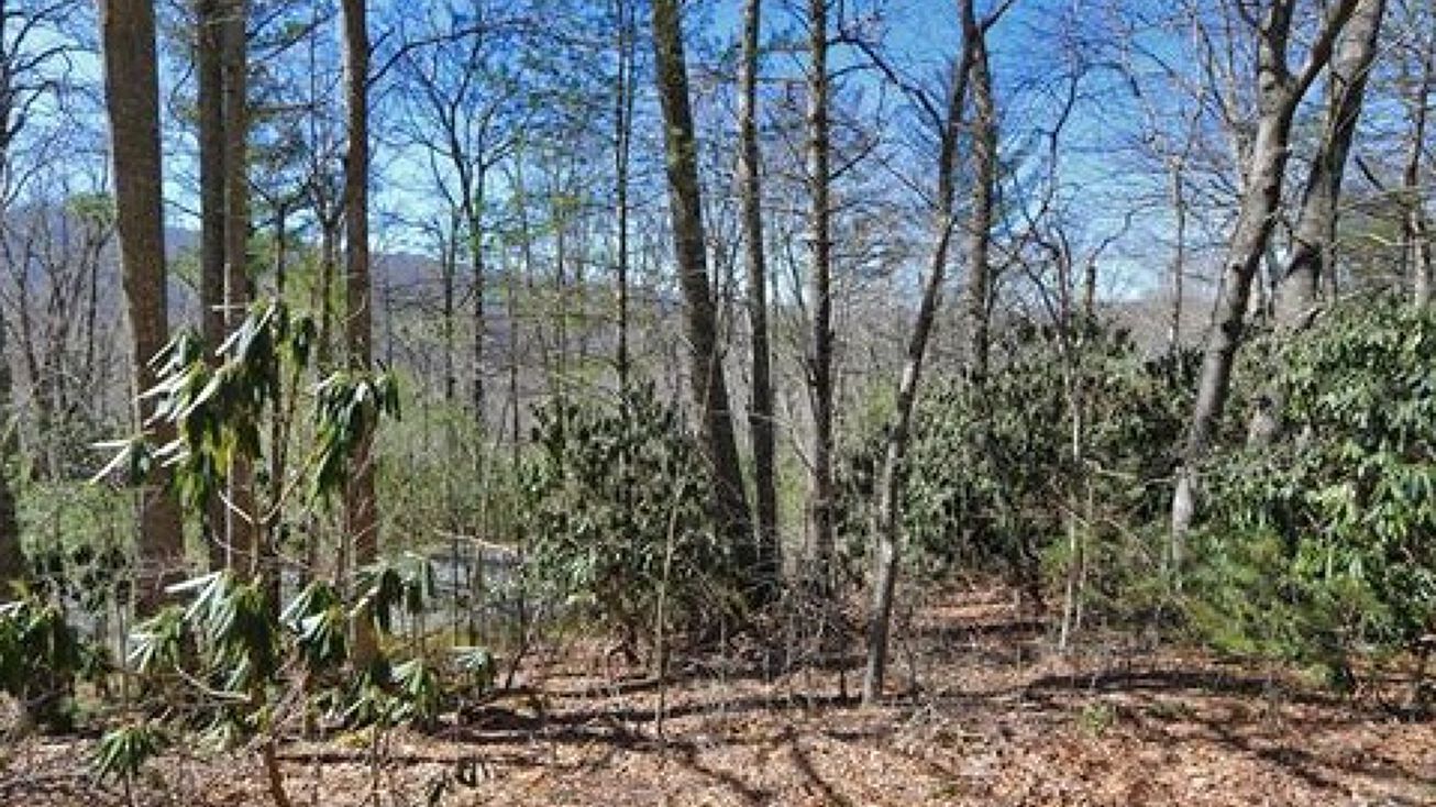 Lot 47 Abaco Drive, Vilas, NC 28692