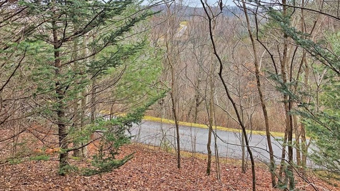 Lot 137 E Indrio Road, Blowing Rock, NC 28605