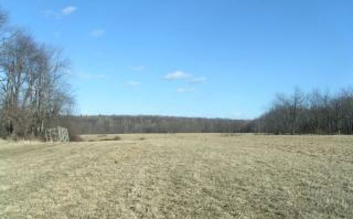 Pictures of Land property located at Reservoir Rd, Goshen, CT 06756 for sales - image #1