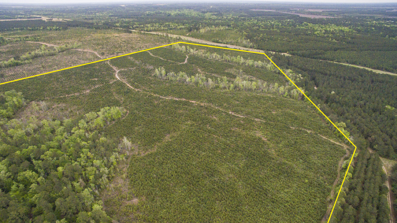 Duff Rd, Livingston, TX 77351 | Crexi.com