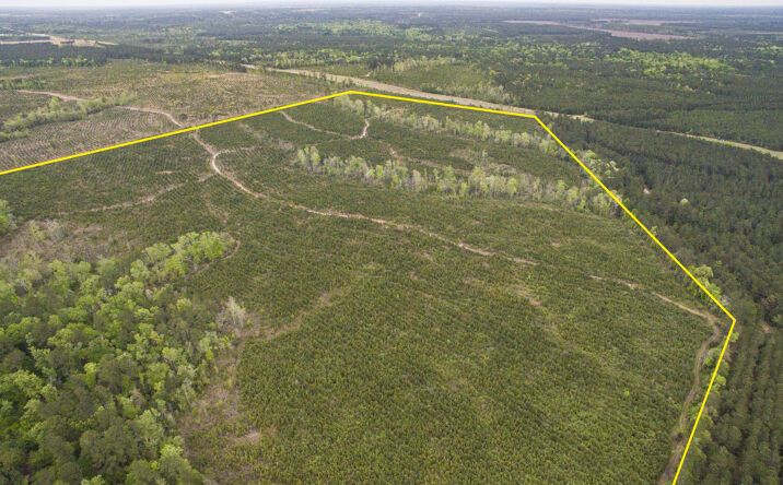 Duff Rd, Livingston, TX 77351 | Crexi.com