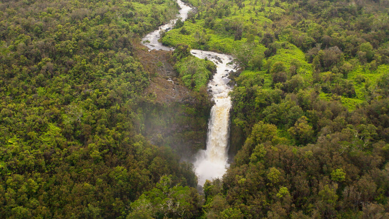 Kaupakuea Homestead Rd, Pepeekeo, HI 96783