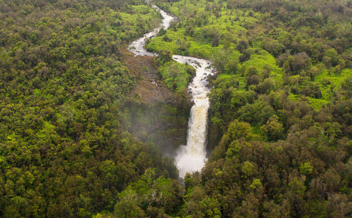 Pictures of Land property located at Kaupakuea Homestead Rd, Pepeekeo, HI 96783 for comps - image #1
