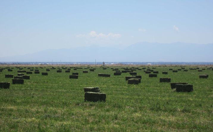 Pictures of Land property located at 50354 North 60th Street West, Lancaster, CA 93536 for comps - image #1
