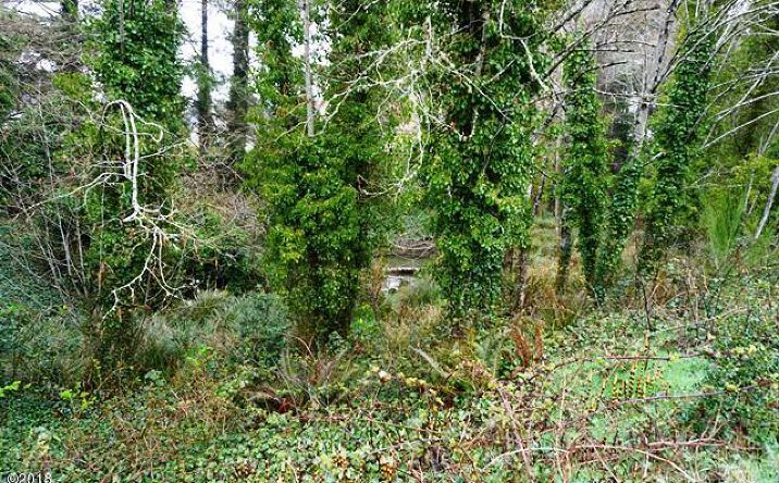 Pictures of Special Purpose property located at 3000 Blk SW HWY 101 TL 13602 & TL 13605, Lincoln City, OR 97367 for sales - image #1