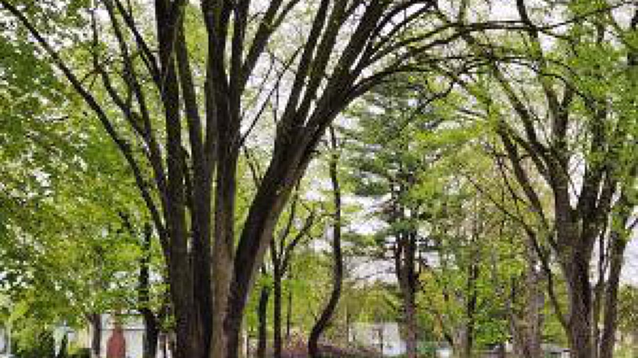 71 Main St, Queensbury, NY 12804