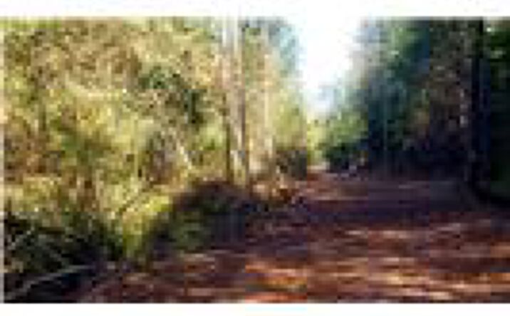 Pictures of Land property located at Kings Mountain Hwy, Bessemer City, NC 28016 for sales - image #1