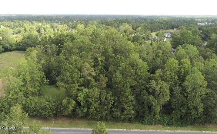 Pictures of Land property located at 00000 Highway 258, Richlands, NC 28574 for sales - image #1