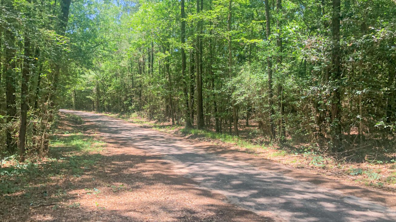 Joe Allen Rd, Kountze, TX 77625