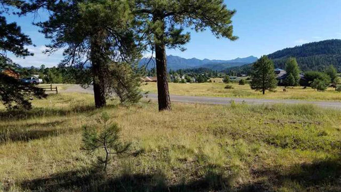 6998 N Pagosa Blvd, Pagosa Springs, CO 81147 Land for Sale residential