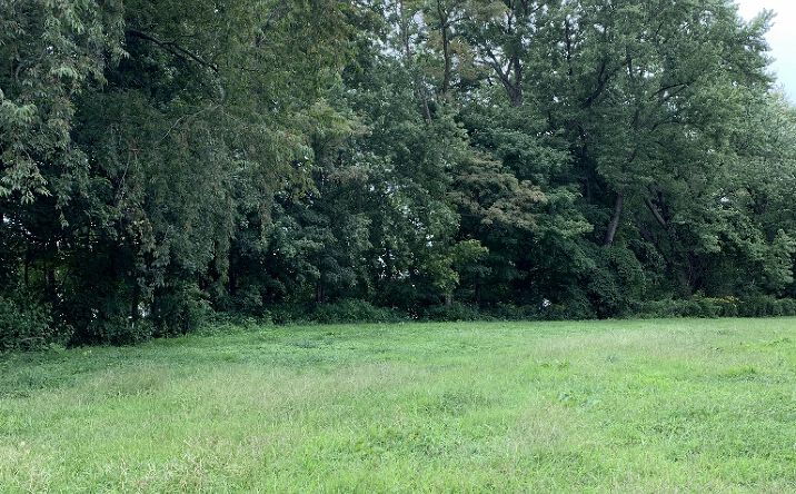 Pictures of Land property located at 0 35th Street, Huntington, WV 25702 for sales - image #1