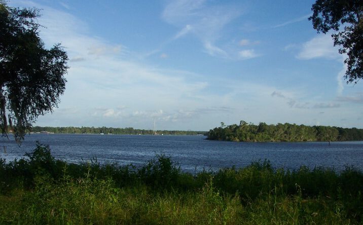 Pictures of Land property located at 177 S Highway 17, East Palatka, FL 32131 for sales - image #1
