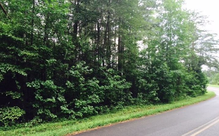 Pictures of Land property located at Beaty Drive, CLEVELAND, TN 37312 for sales - image #1
