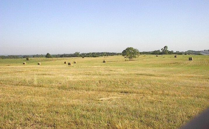 Pictures of Land property located at 55995 842 Rd, Norfolk, NE 68701 for sales - image #1