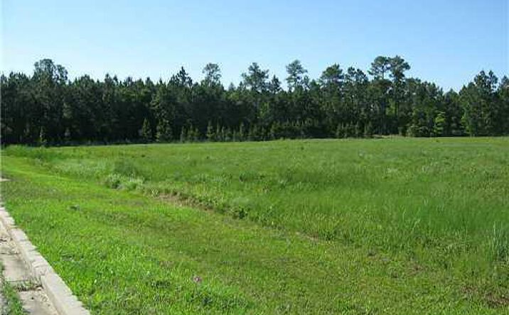 Pictures of Land property located at 10 Acres Highway 603, Bay Saint Louis, MS 39520 for sales - image #1