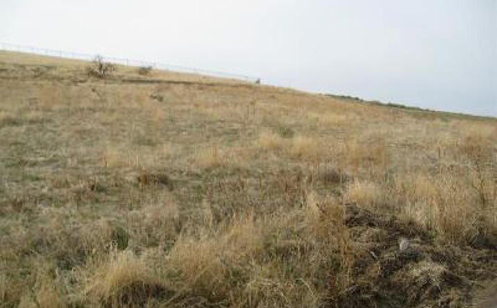 Pictures of Land property located at Scenic Drive, Porterville, CA 93257 for sales - image #1