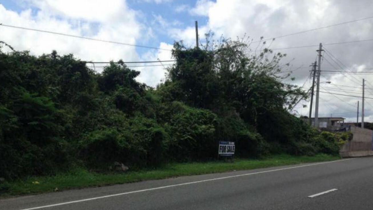 PR2, Isabela, Puerto Rico 00662