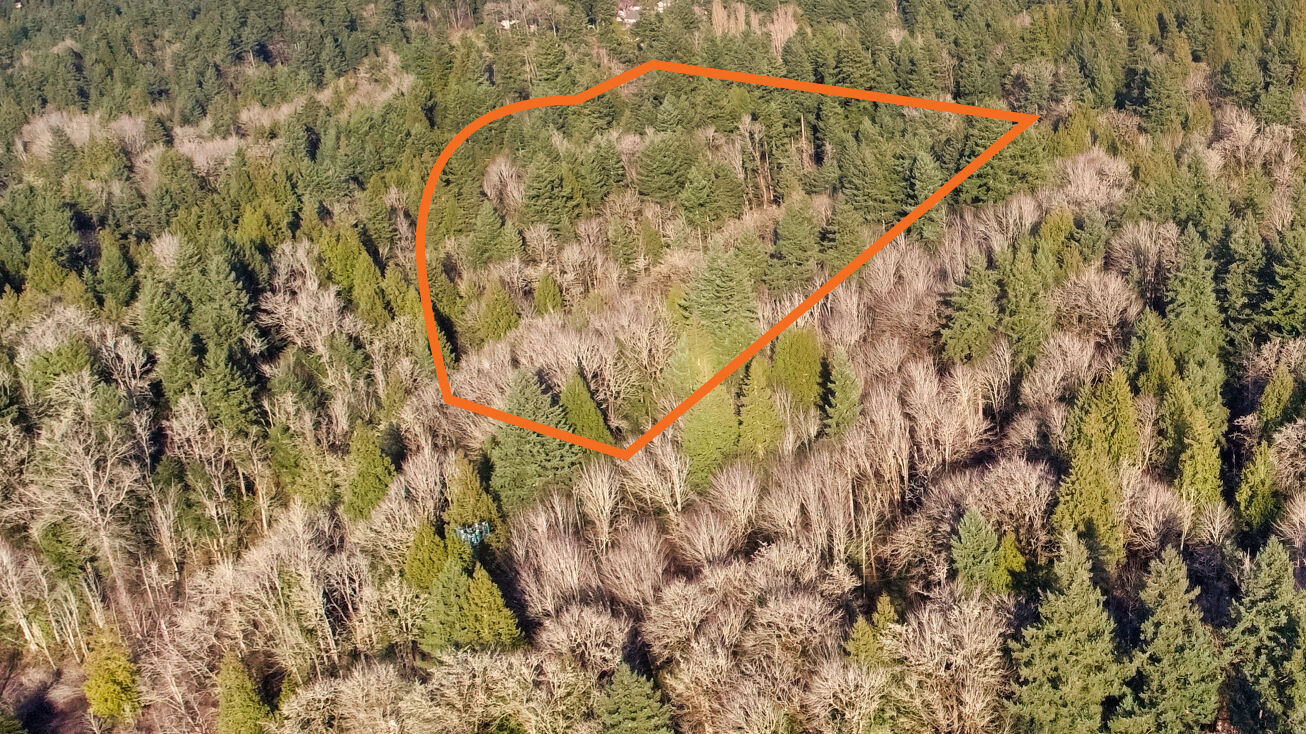 XX SE 8th Street, Sammamish, WA 98074