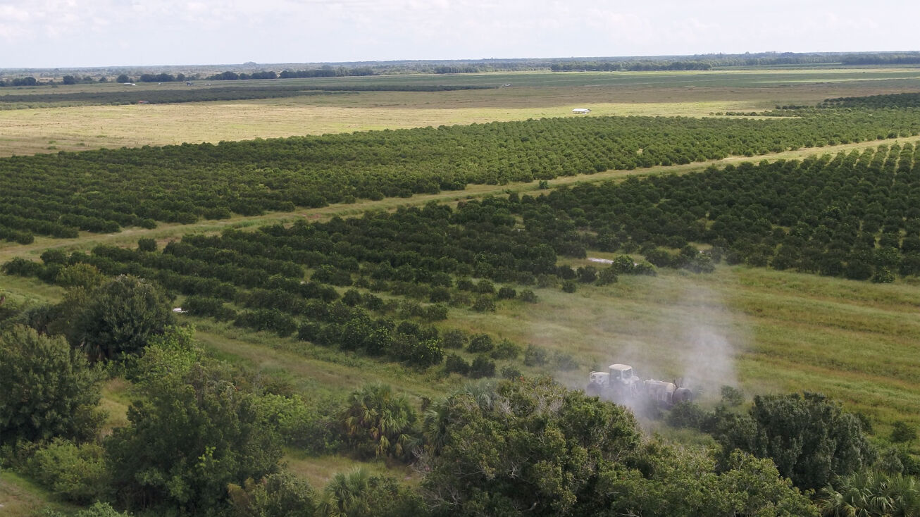 SR 60 & 146th Ave, Vero Beach, FL 32966 Land for Sale Indian River