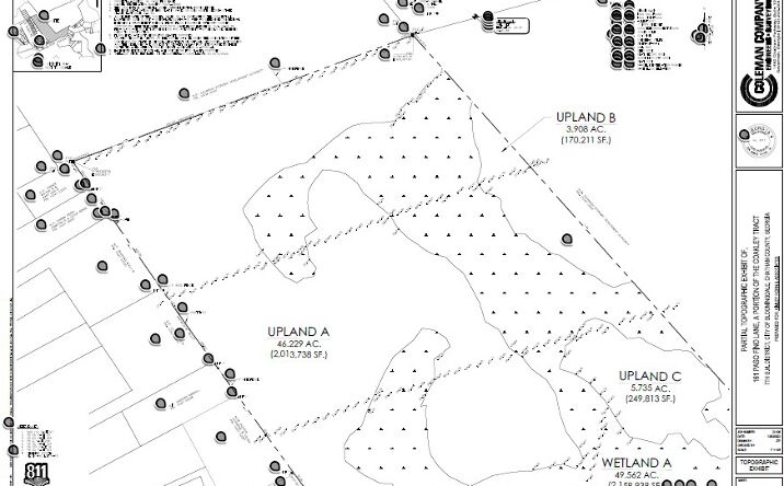 Pictures of Land property located at 161 Paso Fino Rd, Bloomingdale, GA 31302 for sales - image #1