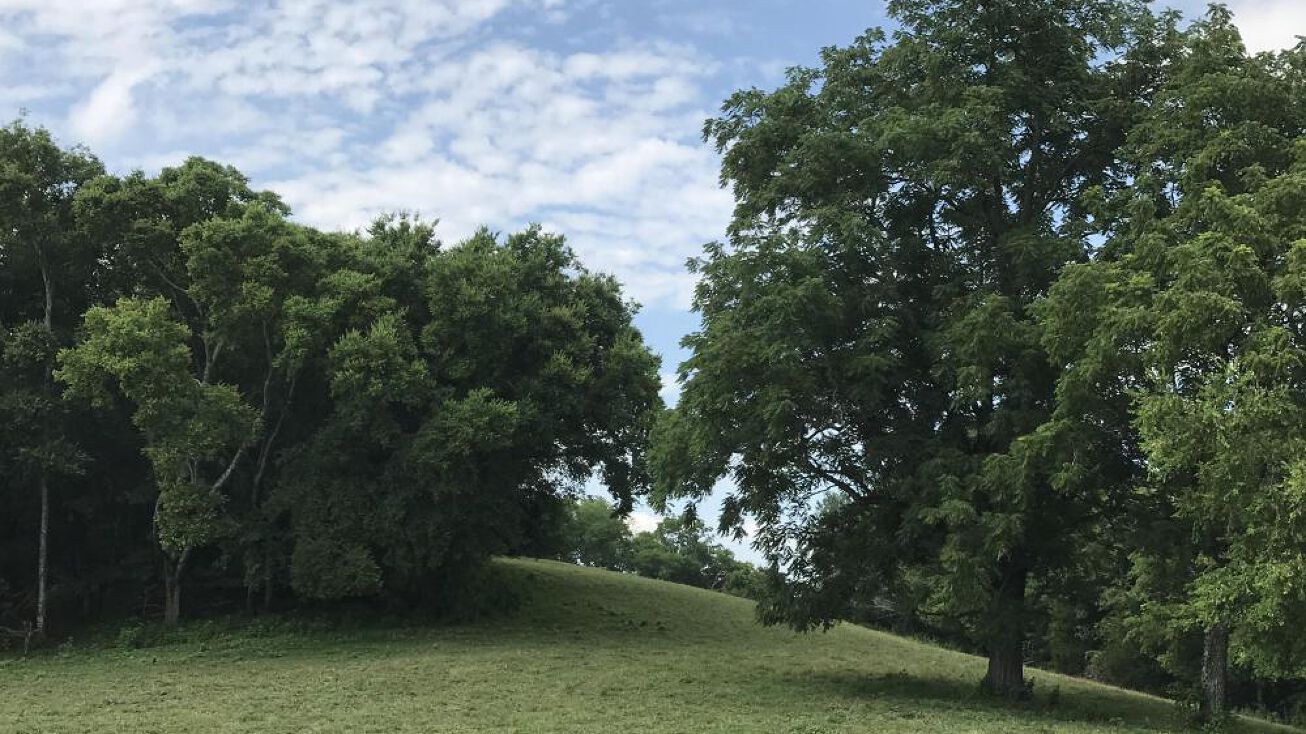 Sands Rd, Sweetwater, TN 37874