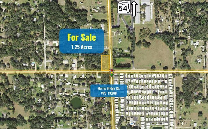 Pictures of Land property located at Morris Bridge Road & Chancey Road, Zephyrhills, FL 33541 for sales - image #1