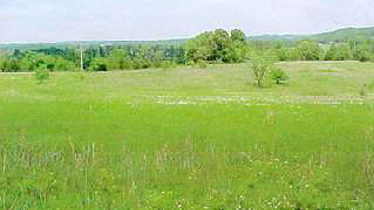 Highway 63 North, Pomona, MO 65789 Land for Sale Highway 63 North