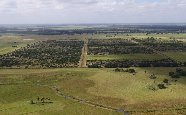 Arcadia Fl Commercial Real Estate For Sale Crexi Com