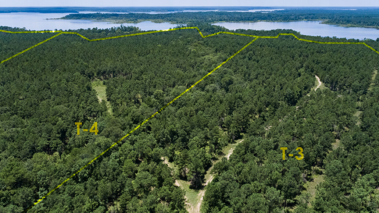 0 County Divide Rd, Pineland, TX 75968