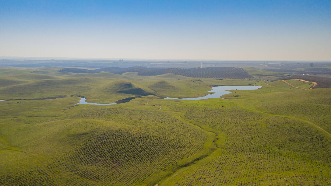 150 Olsen Rd, Snelling, CA 95369