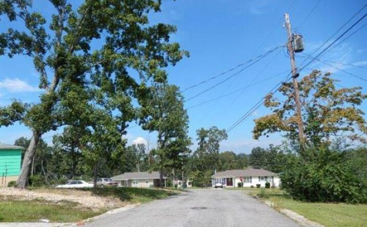 Pictures of Land property located at 2808 9th NE St, Other, TX 35215 for sales - image #1
