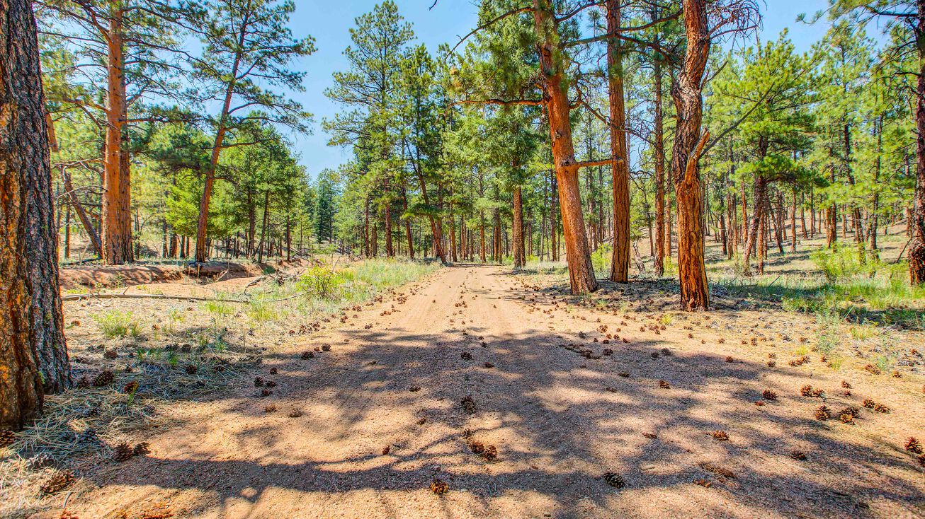 Co Rd 126, Deckers, CO 80135