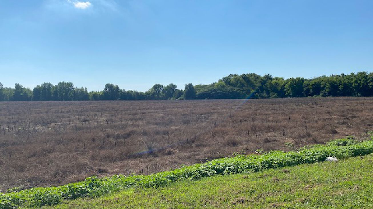 County Line Rd, Madison, AL 35756