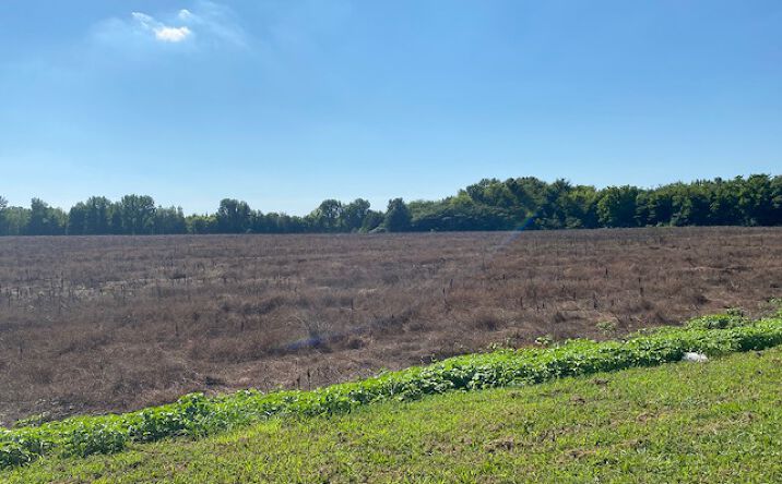 image of property at COUNTY LINE RD Madison AL 35756
