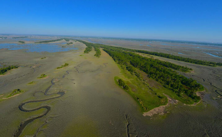 Pictures of Land property located at Long Island, Folly beach, SC, Folly Beach, SC 29412 for sales - image #1
