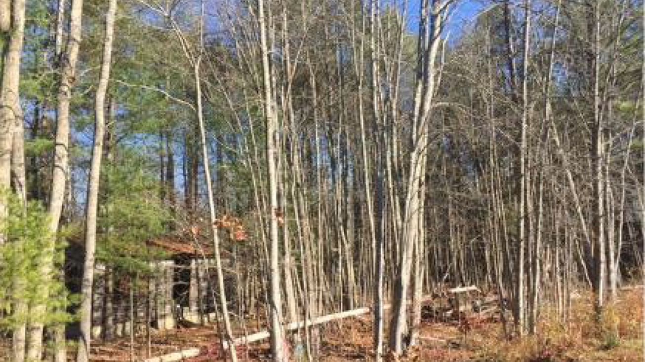 122 York St, Kennebunk, ME 04043 Land for Sale Prime Lot on Route One